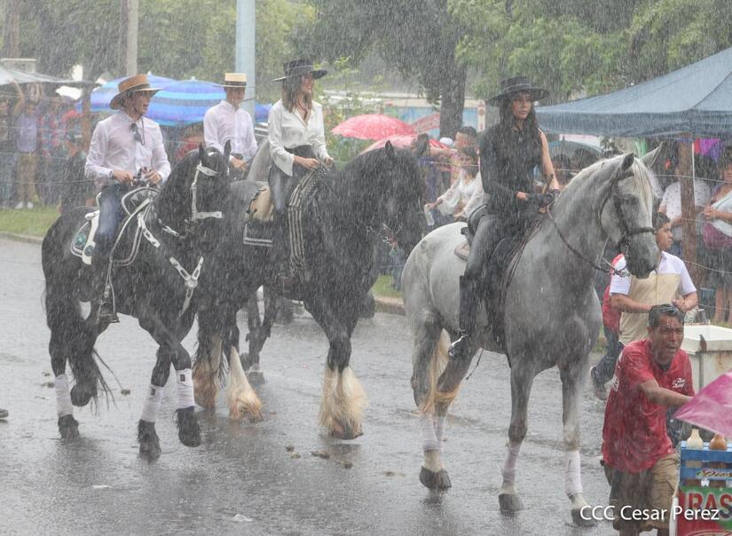 HIPICO